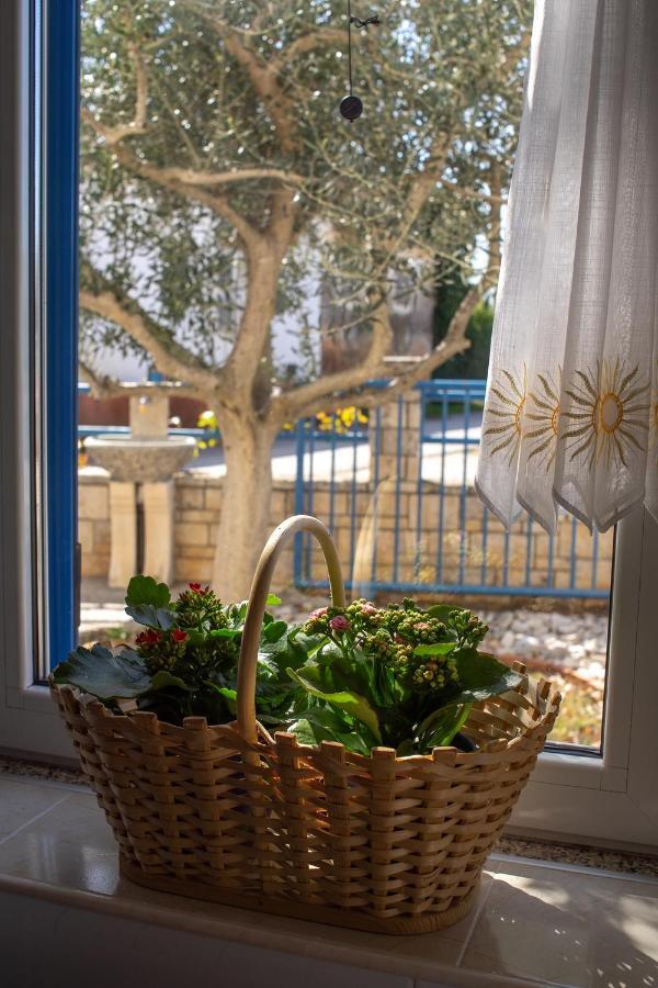 Olive Tree Apartments Umag Eksteriør bilde